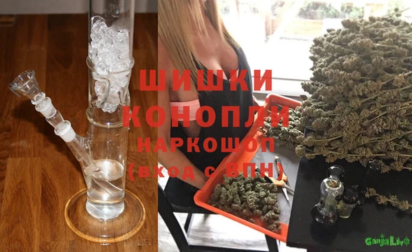 спиды Нефтекумск