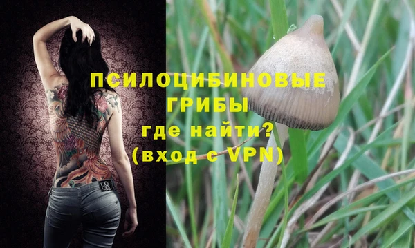 ALPHA-PVP Новодвинск