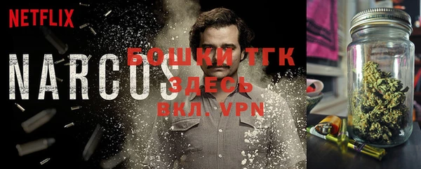 ешки Нефтегорск