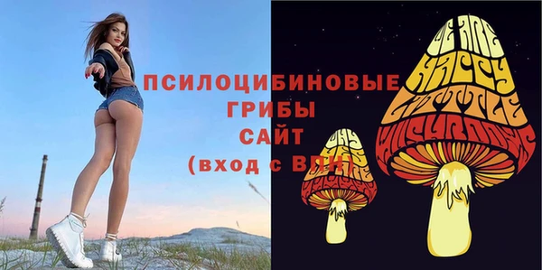 спиды Нефтекумск